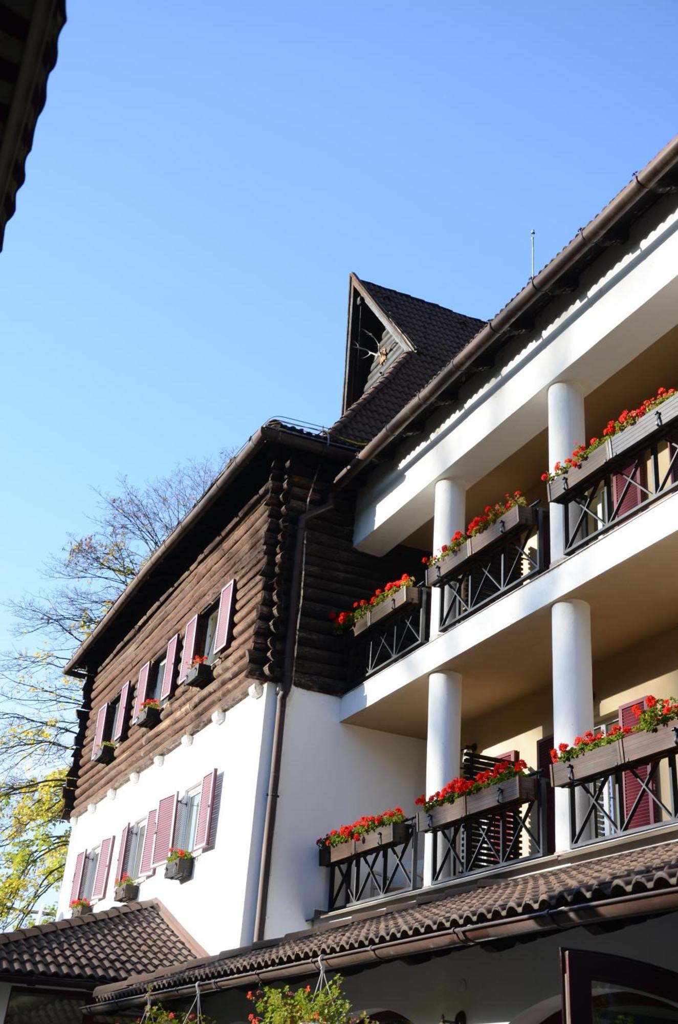 Hotel Gradina Morii Sighetu Marmatiei Bagian luar foto