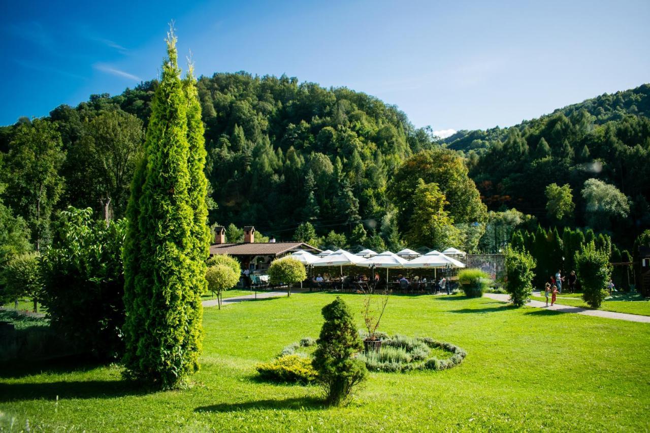 Hotel Gradina Morii Sighetu Marmatiei Bagian luar foto